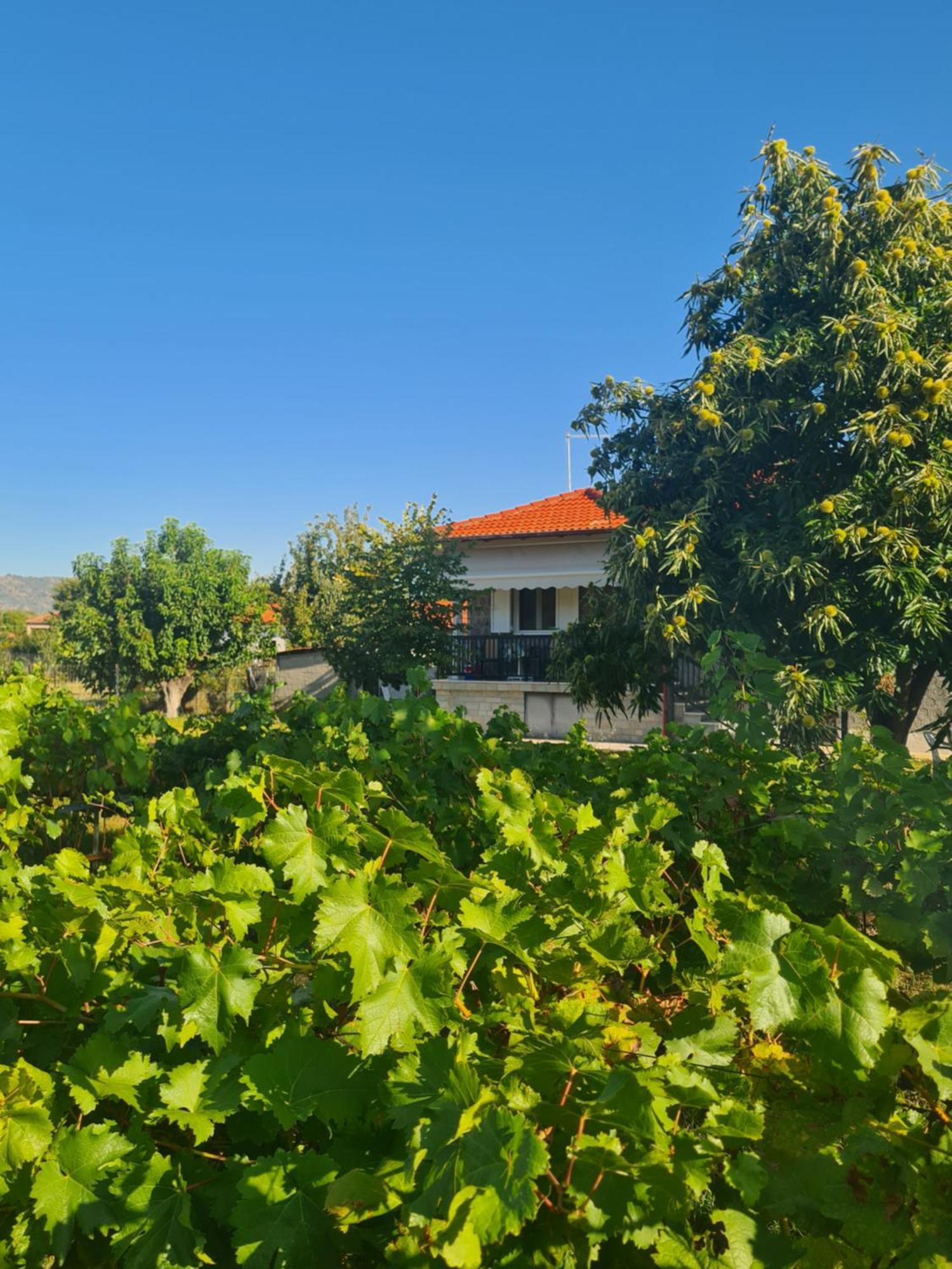 Villa Anna Παλαιόκαστρο Εξωτερικό φωτογραφία